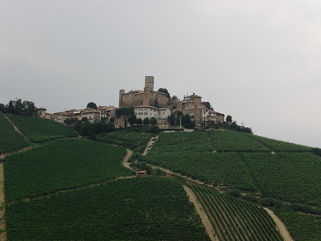 Cascina La Romana Dogliani Buitenkant foto