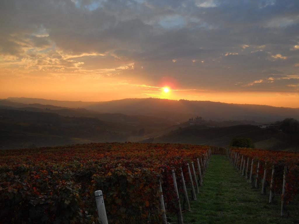 Cascina La Romana Dogliani Buitenkant foto